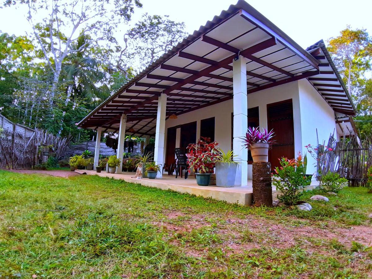 Cashew Villa Hiriketiya Диквела Екстериор снимка