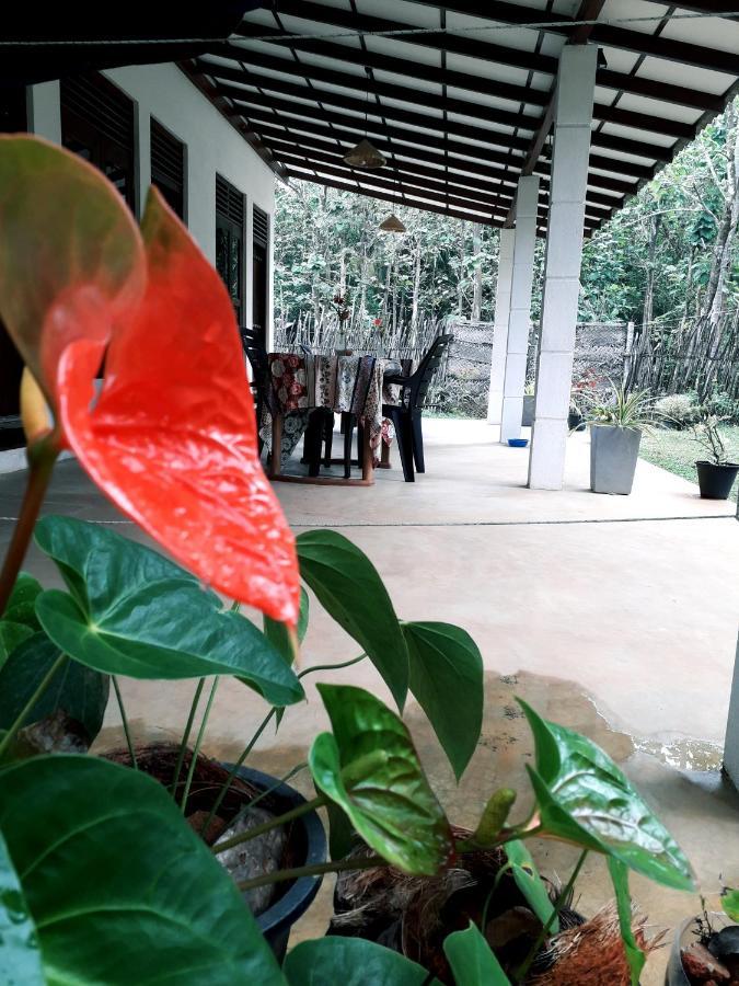 Cashew Villa Hiriketiya Диквела Екстериор снимка